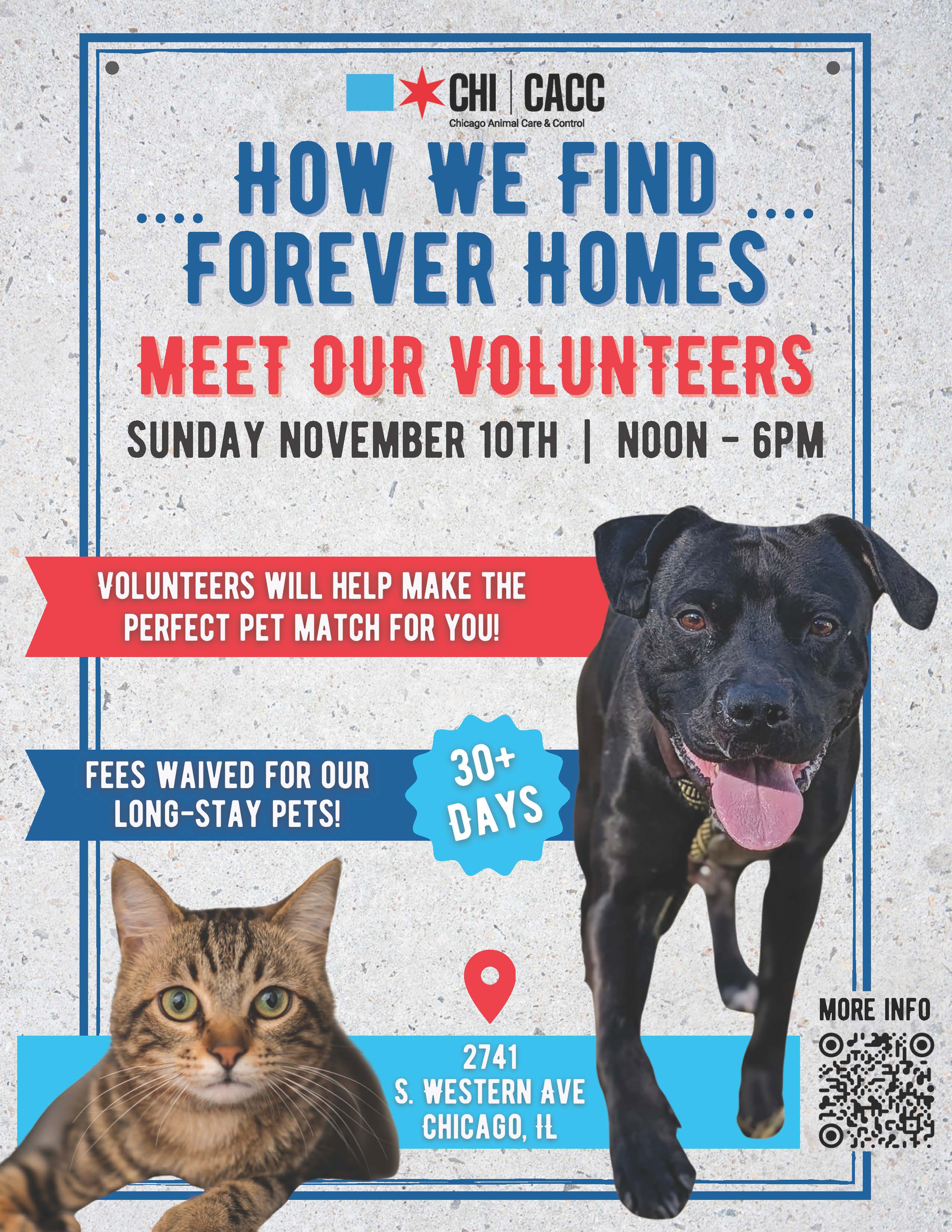 November Adoption Event Flyer